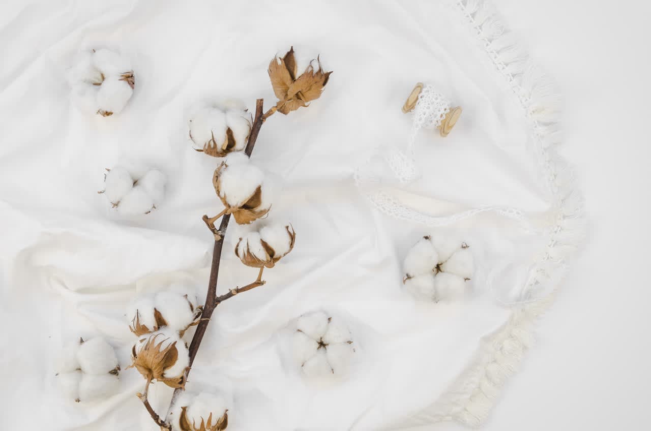 Flores de algodón sobre una sábana blanca de algodón 100% en Lugo